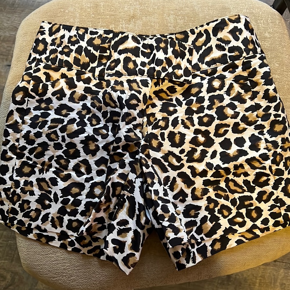 White House Black Market Short